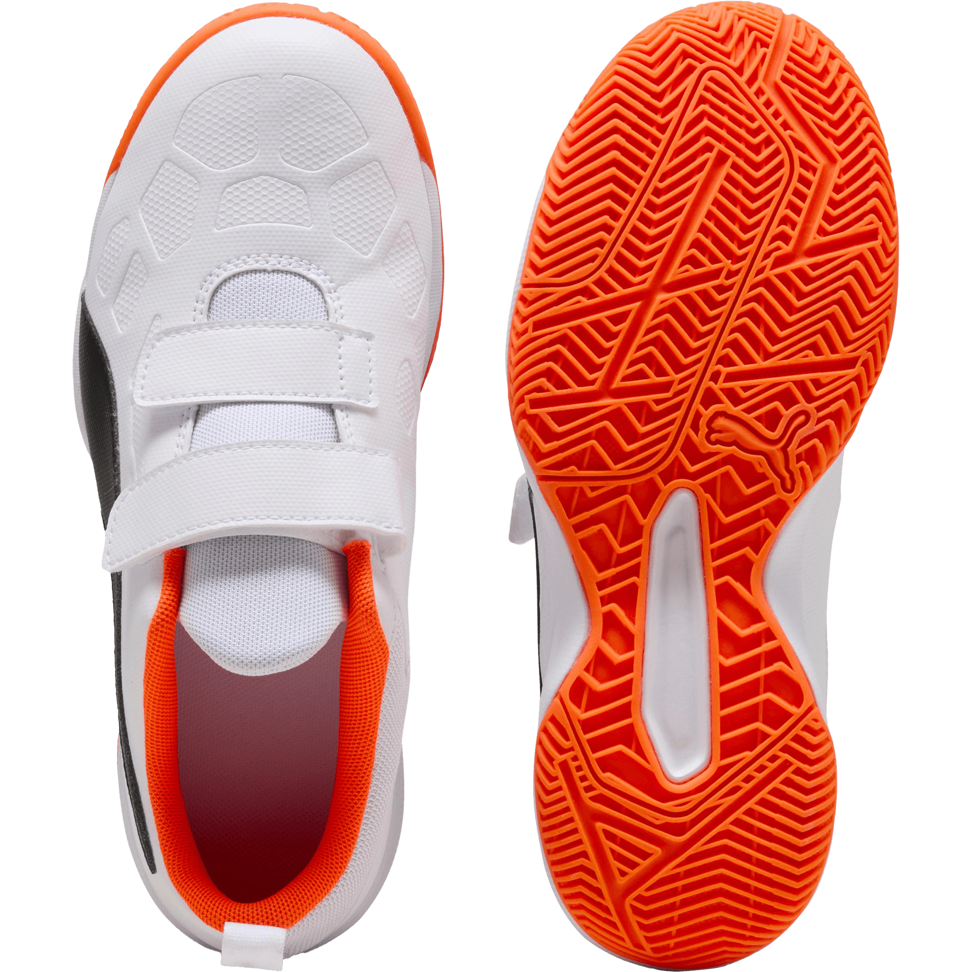 Puma, Tenaz V Jr, Detail 1